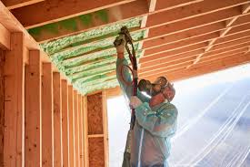 Professional Insulation Services in Neligh, NE