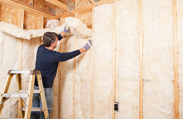 Eco-Friendly or Green Insulation Solutions in Neligh, NE